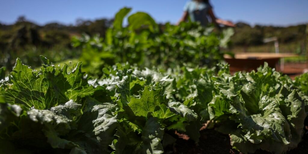 Acordo garante terras a 3 mil famílias em assentamentos no Paraná