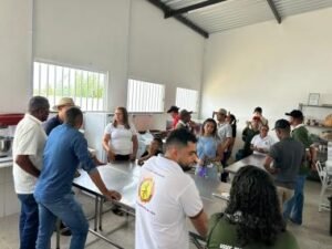 Intercâmbio qualifica produção de mandioca na agricultura familiar