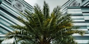 PF adia depoimentos de três investigados no inquérito do Banco Master