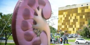 Dia Mundial do Rim: doenças renais são silenciosas e exigem atenção