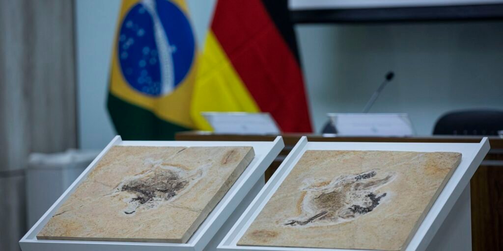 Brasil quer recuperar dinossauros e patrimônios espalhados por 14 país
