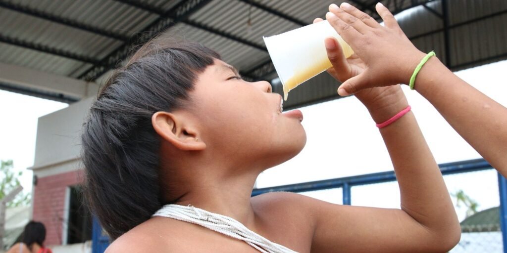 Consumo de alimentos ultraprocessados cresce entre povos tradicionais