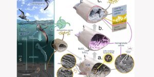 Estudo revela preservação de tecidos de pterossauro por 113 milhões
