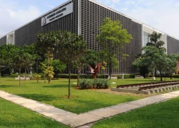 Mais de 70 mulheres tiveram mandatos cassados em 10 anos no país